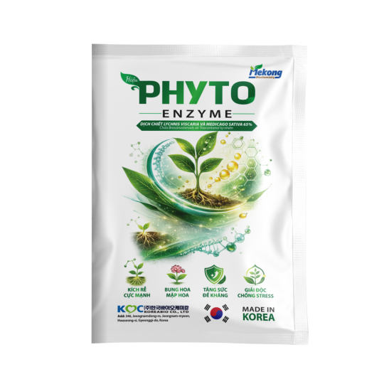 PHYTO EMZYME