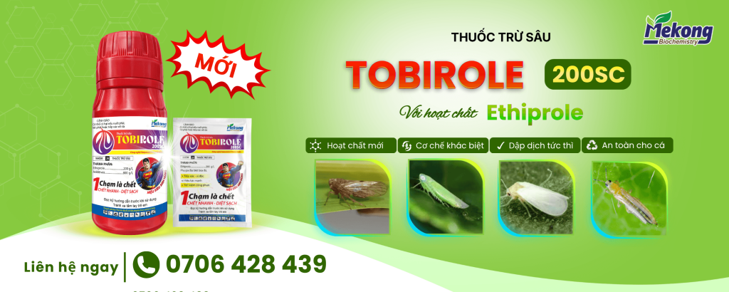 TOBIROLE 200SC là thuốc trừ rầy xanh hiệu quả